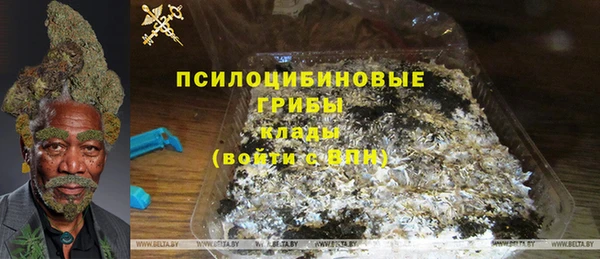 соль ск Богородицк