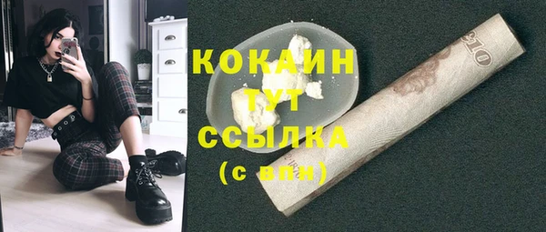 соль ск Богородицк