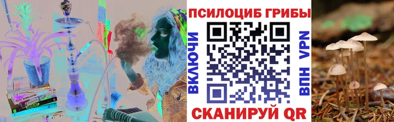 darknet наркотические препараты  купить  цена  Кириши  Псилоцибиновые грибы прущие грибы 